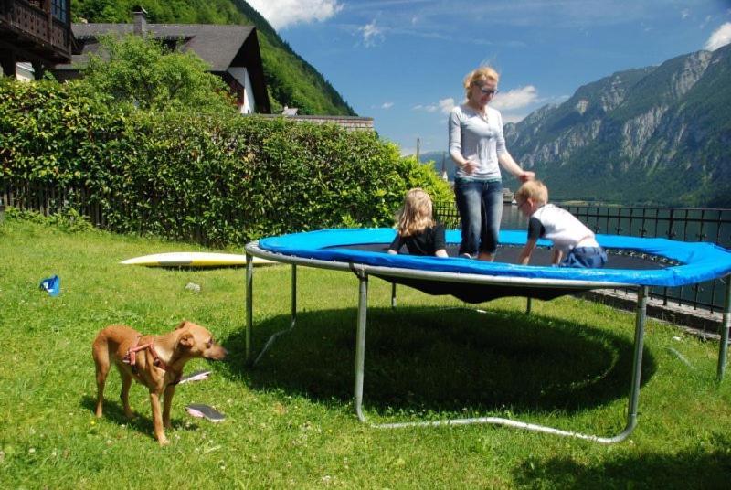 Krafttanken * Hallstatt