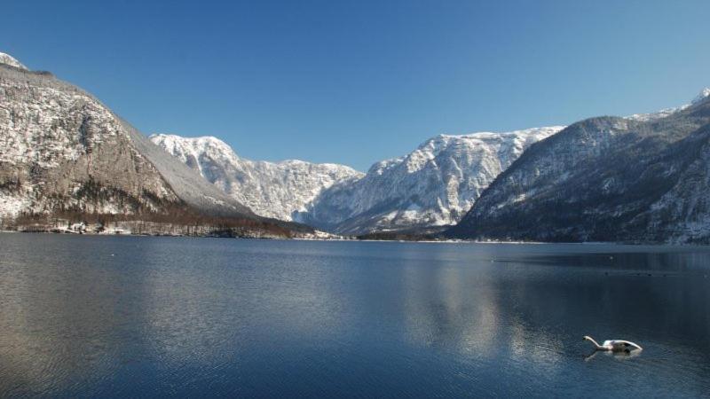 Krafttanken Apartment Hallstatt